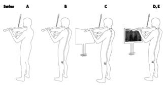 Alison Loram Muscle Function Research Published