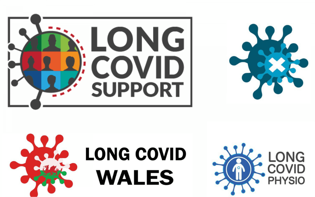 Long COVID: Patient Experience and Support Groups